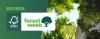FSC Forest Week: Why It Matters & How We Support Sustainable Packaging