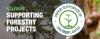 Our Continued Support for Reforestation