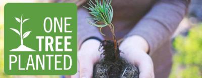 We are Planting Trees