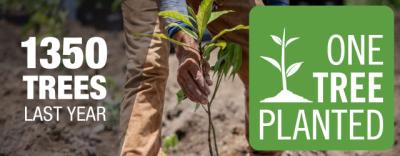 We have planted hundreds of new trees in the last 12 months