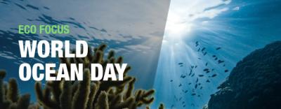 World Ocean Day and our support for the Ocean Conservation Trust