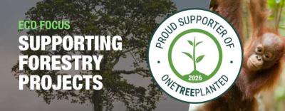 Our Continued Support for Reforestation
