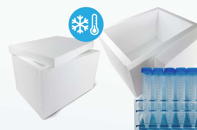 Packaging polystyrene case study