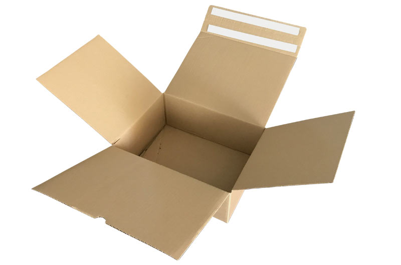 Case study packaging boxes