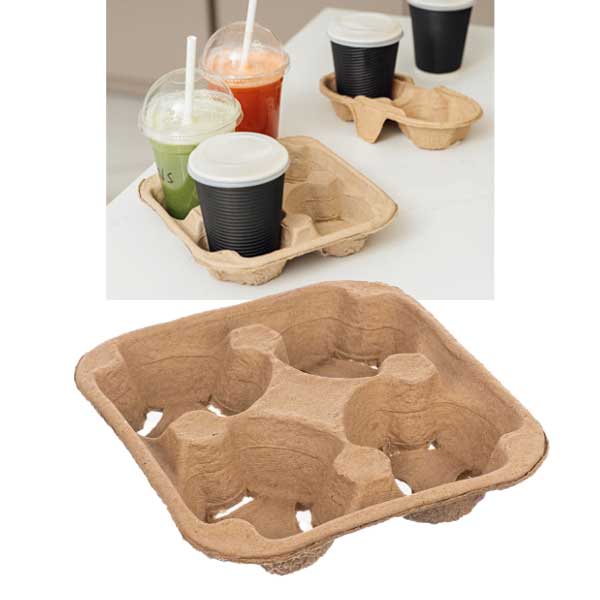 Paper pulp packaging