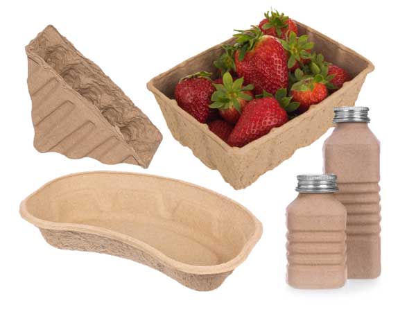 Paper pulp packaging
