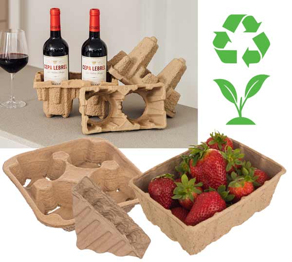 Paper pulp packaging