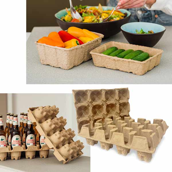 Paper pulp packaging