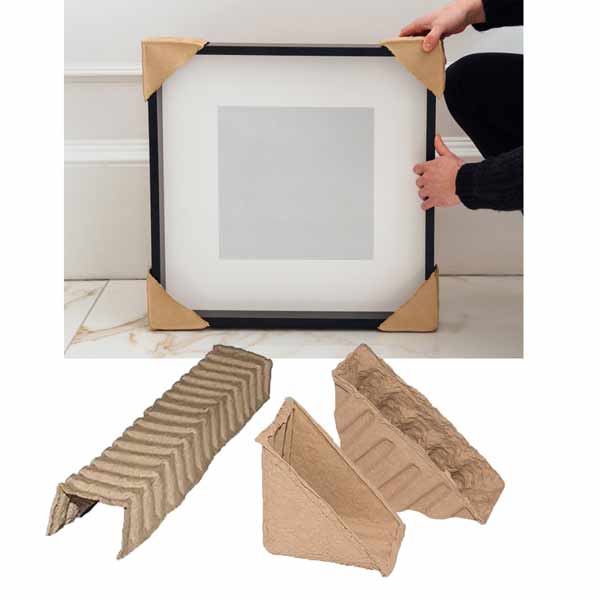 Packaging pulp paper eco