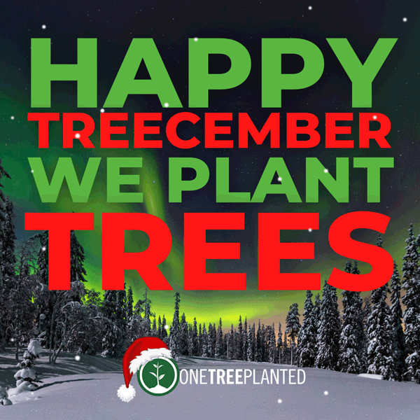 Treecember