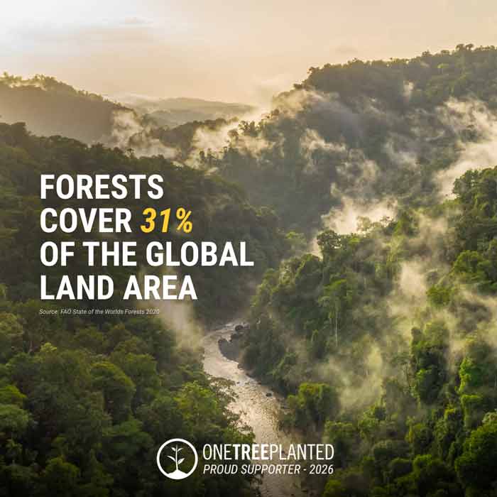 Global land